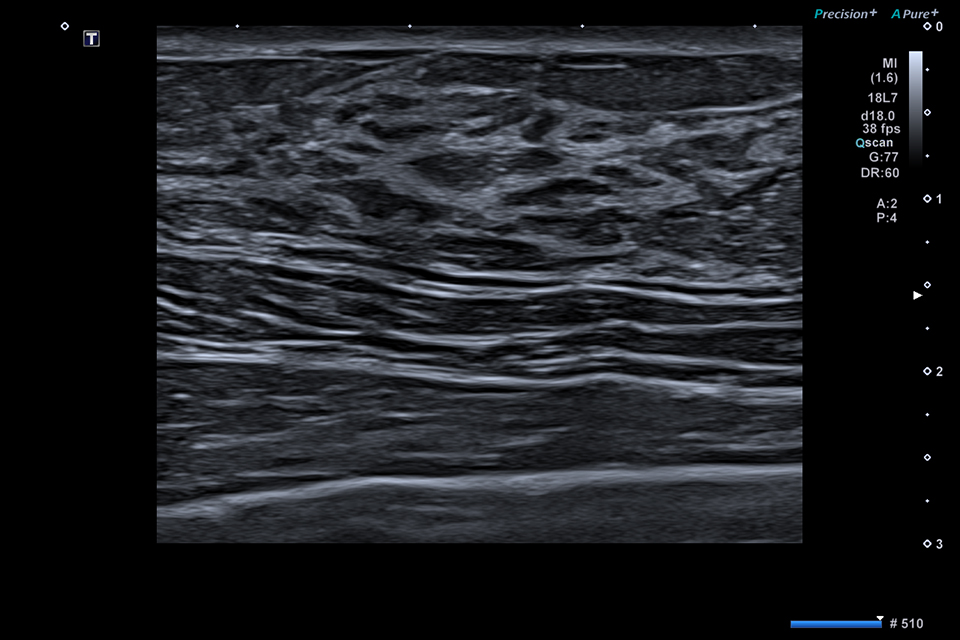 CLINICAL GALLERY